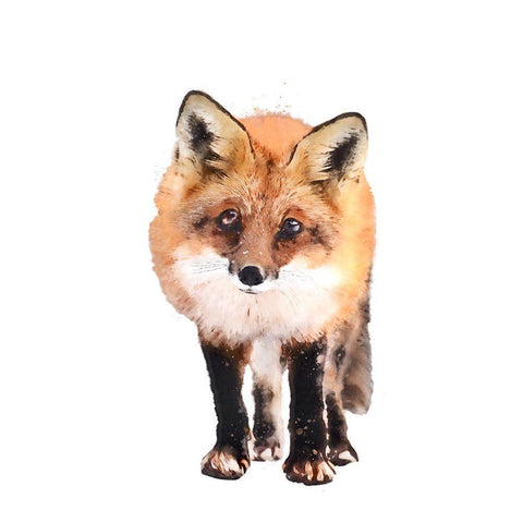 Full On Fox White Modern Wood Framed Art Print by Curinga, Kim