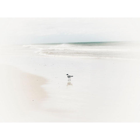 Bleached Bird White Modern Wood Framed Art Print by Curinga, Kim