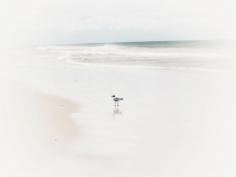 Bleached Bird Black Ornate Wood Framed Art Print with Double Matting by Curinga, Kim