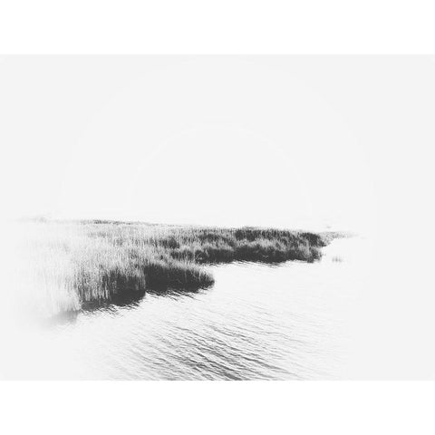 Bleached Marsh Black Modern Wood Framed Art Print by Curinga, Kim