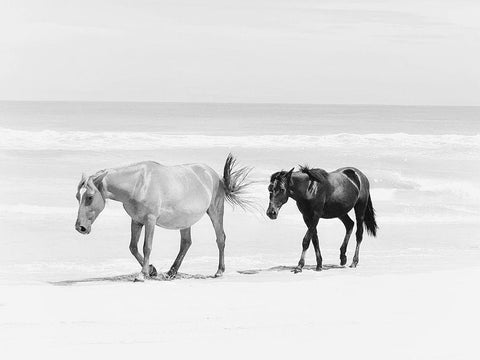 Beach Horse Duo White Modern Wood Framed Art Print with Double Matting by Curinga, Kim