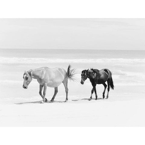 Beach Horse Duo Gold Ornate Wood Framed Art Print with Double Matting by Curinga, Kim