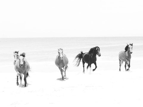 Beach Horses Running White Modern Wood Framed Art Print with Double Matting by Curinga, Kim