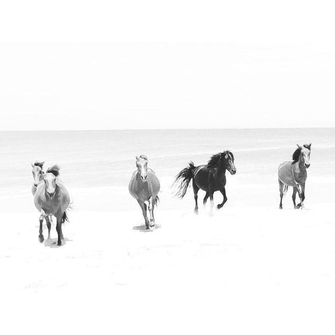 Beach Horses Running Black Modern Wood Framed Art Print with Double Matting by Curinga, Kim