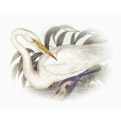 Sentimental Plumage II White Modern Wood Framed Art Print by Hunziker, Steve