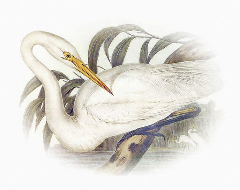 Sentimental Plumage II White Modern Wood Framed Art Print with Double Matting by Hunziker, Steve