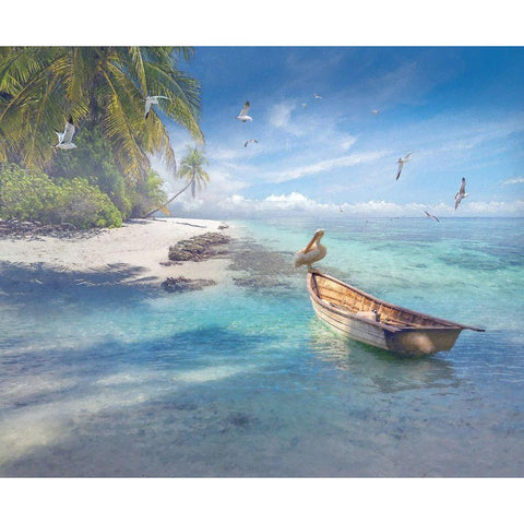 Tropical Shangrila II Black Modern Wood Framed Art Print by Hunziker, Steve