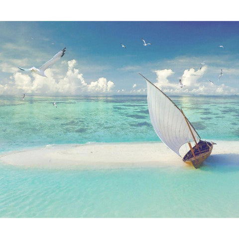 Tropical Shangrila III Black Modern Wood Framed Art Print by Hunziker, Steve