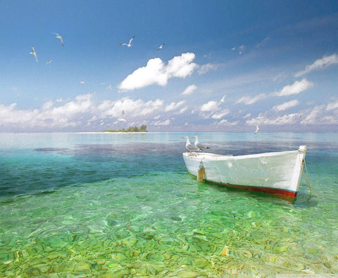 Tropical Shangrila IV Black Ornate Wood Framed Art Print with Double Matting by Hunziker, Steve