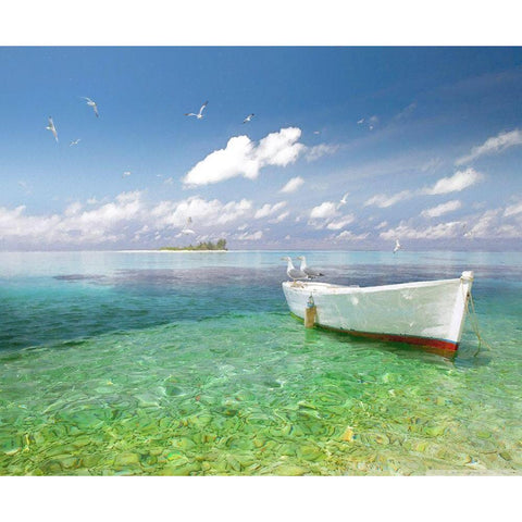 Tropical Shangrila IV Black Modern Wood Framed Art Print by Hunziker, Steve