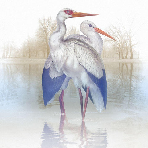 Misty Plumage III White Modern Wood Framed Art Print by Hunziker, Steve