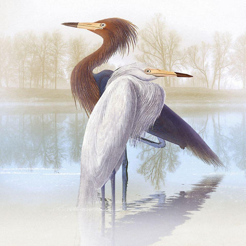 Misty Plumage IV White Modern Wood Framed Art Print by Hunziker, Steve