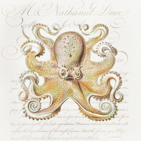 Octopus IV Gold Ornate Wood Framed Art Print with Double Matting by Hunziker, Steve