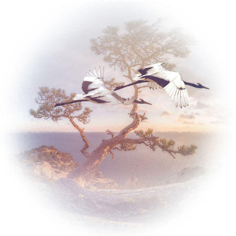 Mountain Crane II White Modern Wood Framed Art Print by Hunziker, Steve