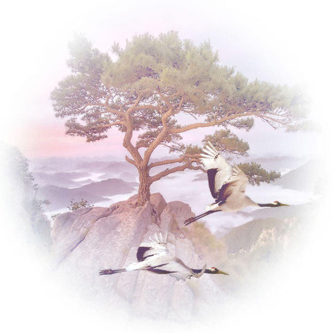 Mountain Crane IV White Modern Wood Framed Art Print with Double Matting by Hunziker, Steve