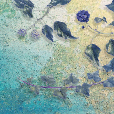 Reductive Vine I Black Ornate Wood Framed Art Print with Double Matting by Hunziker, Steve