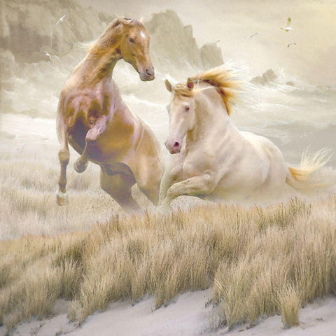 Equine Exuberance Black Modern Wood Framed Art Print with Double Matting by Hunziker, Steve