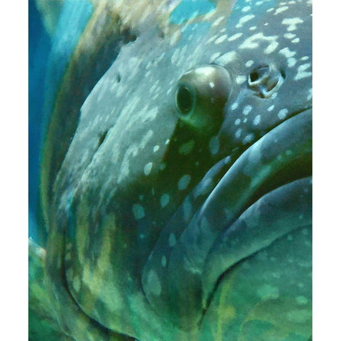 Turquoise Splash I White Modern Wood Framed Art Print by Hunziker, Steve