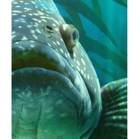 Turquoise Splash II Black Modern Wood Framed Art Print with Double Matting by Hunziker, Steve