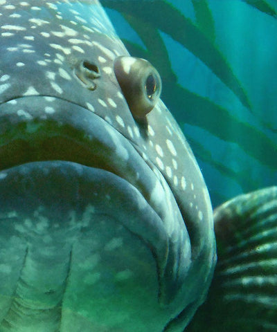 Turquoise Splash II White Modern Wood Framed Art Print with Double Matting by Hunziker, Steve