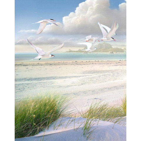 Celestial Tern I Black Modern Wood Framed Art Print with Double Matting by Hunziker, Steve