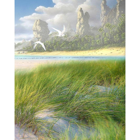 Celestial Tern II Black Modern Wood Framed Art Print with Double Matting by Hunziker, Steve