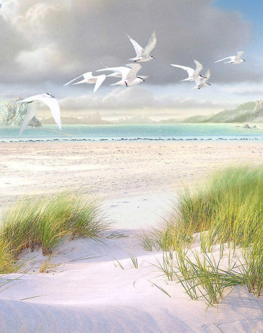 Celestial Tern III Black Ornate Wood Framed Art Print with Double Matting by Hunziker, Steve