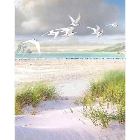 Celestial Tern III White Modern Wood Framed Art Print by Hunziker, Steve