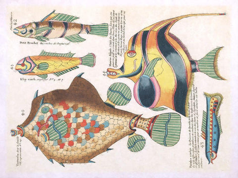 Repeating Image I White Modern Wood Framed Art Print with Double Matting by Hunziker, Steve