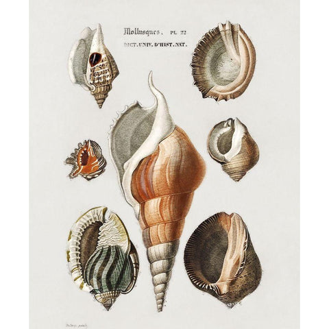 Repeating Image III Black Modern Wood Framed Art Print with Double Matting by Hunziker, Steve