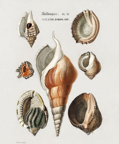 Repeating Image III White Modern Wood Framed Art Print with Double Matting by Hunziker, Steve