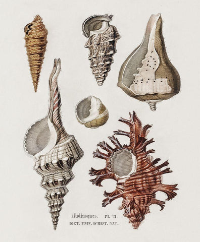 Repeating Image IV White Modern Wood Framed Art Print with Double Matting by Hunziker, Steve