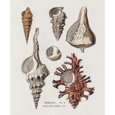 Repeating Image IV White Modern Wood Framed Art Print by Hunziker, Steve