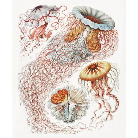 Repeating Image V White Modern Wood Framed Art Print by Hunziker, Steve