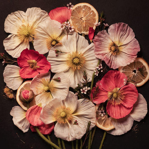 Sweet and Sour White Modern Wood Framed Art Print with Double Matting by Maclean, Leah