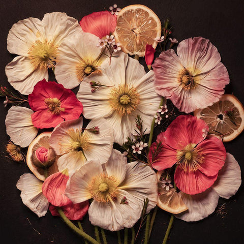 Sweet and Sour Gold Ornate Wood Framed Art Print with Double Matting by Maclean, Leah