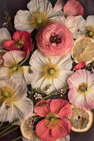 Petals and Zest Black Ornate Wood Framed Art Print with Double Matting by Maclean, Leah