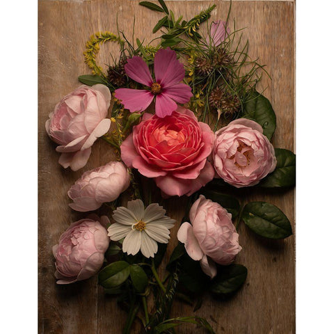 Rosy Posy II Black Modern Wood Framed Art Print with Double Matting by Maclean, Leah