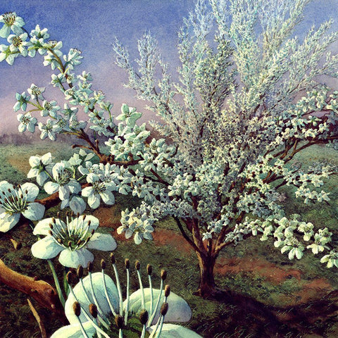 Tree Music II White Modern Wood Framed Art Print with Double Matting by Wang, John