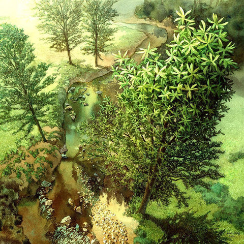 Tree Music V White Modern Wood Framed Art Print with Double Matting by Wang, John