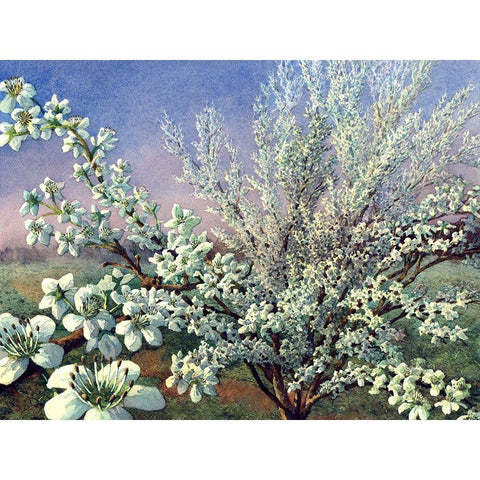 Fresh Tone White Modern Wood Framed Art Print by Wang, John