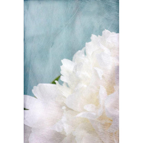 Peony Sky I Gold Ornate Wood Framed Art Print with Double Matting by Stalus, Judy