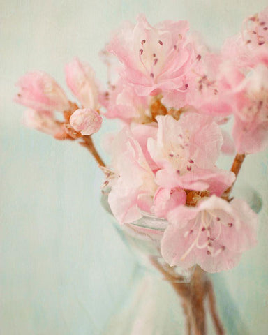 Azalea I White Modern Wood Framed Art Print with Double Matting by Stalus, Judy