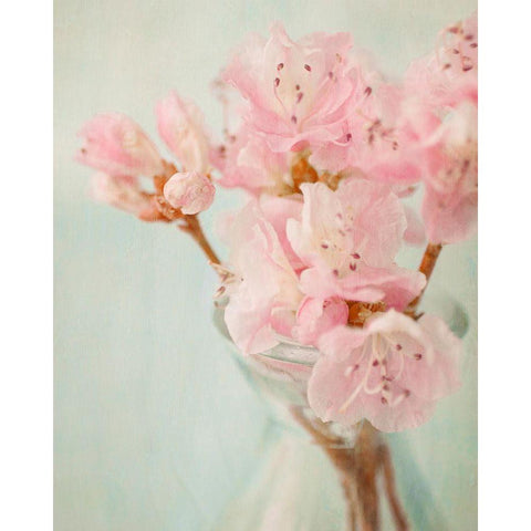 Azalea I White Modern Wood Framed Art Print by Stalus, Judy