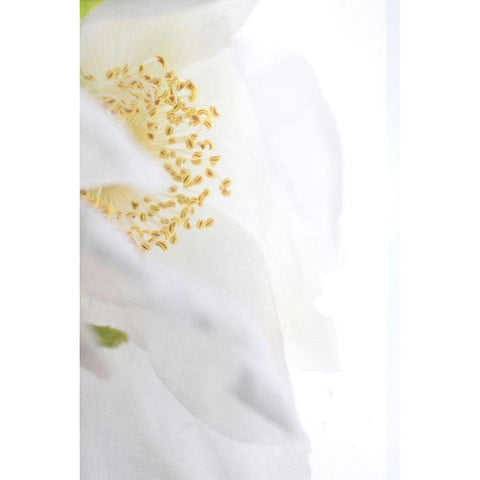 Gold Cup White Modern Wood Framed Art Print by Stalus, Judy