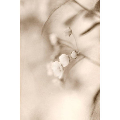 Softly Black Modern Wood Framed Art Print by Stalus, Judy