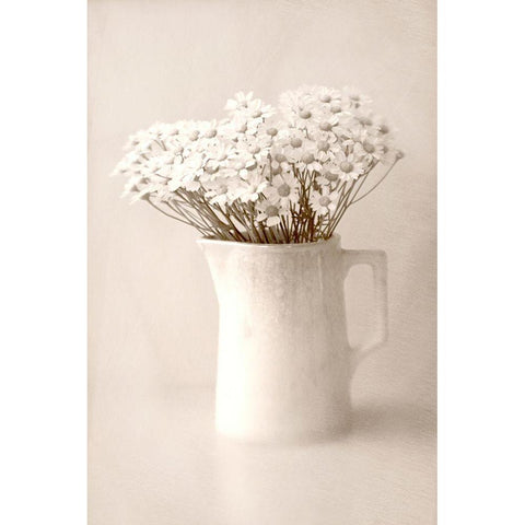 Jug of Daisies Black Modern Wood Framed Art Print with Double Matting by Stalus, Judy