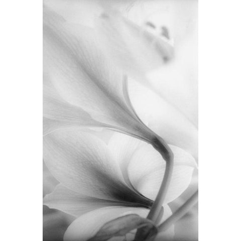 Reach for the Sky White Modern Wood Framed Art Print by Stalus, Judy