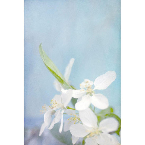 Blue Sky Black Modern Wood Framed Art Print by Stalus, Judy