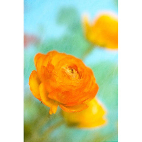 Bright White Modern Wood Framed Art Print by Stalus, Judy